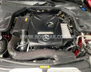 Xe Mercedes Benz C class C250 Exclusive 2016