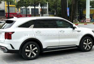 Xe Kia Sorento Luxury 2.2 AT 2024