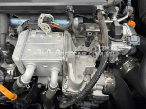 Xe Kia Sorento Luxury 2.2 AT 2024