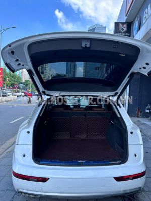 Xe Audi Q5 2.0 AT 2017