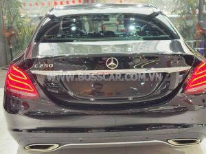 Xe Mercedes Benz C class C250 Exclusive 2017