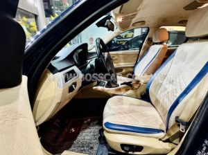 Xe BMW 3 Series 320i 2009