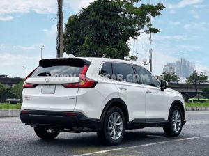 Xe Honda CRV L 2025