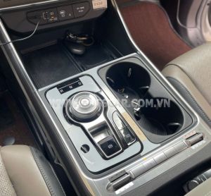 Xe Kia Carnival Premium 2.2D 8S 2025