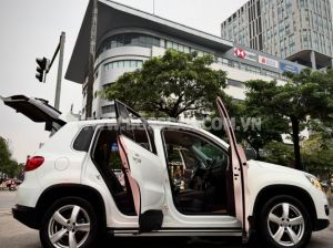 Xe Volkswagen Tiguan 2.0 AT 2016