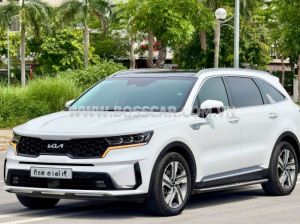 Xe Kia Sorento Signature 2.2 AT AWD 2024