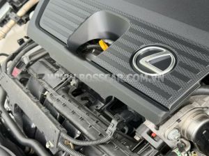 Xe Lexus ES 250 F Sport 2022