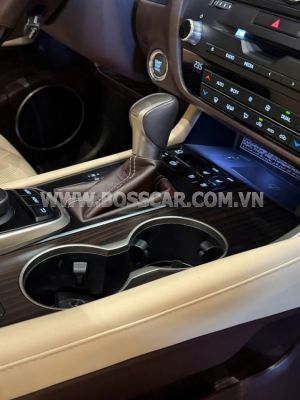 Xe Lexus RX 300 2019